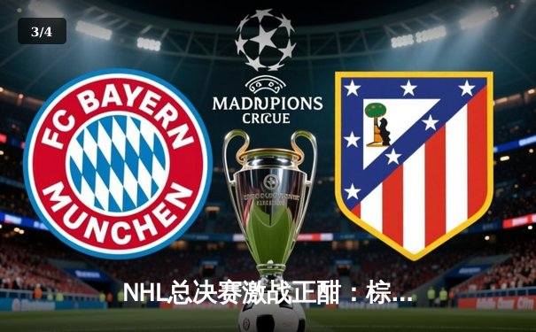 NHL总决赛激战正酣：棕熊队加时绝杀雪崩队，系列赛战成2-2平局 - 3