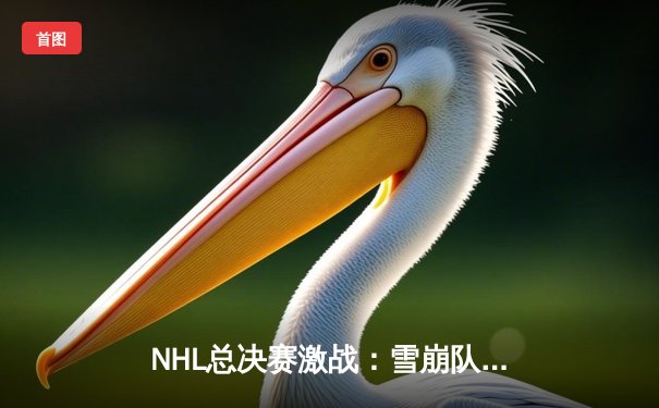 NHL总决赛激战：雪崩队加时绝杀黑鹰队，总比分2-1领先