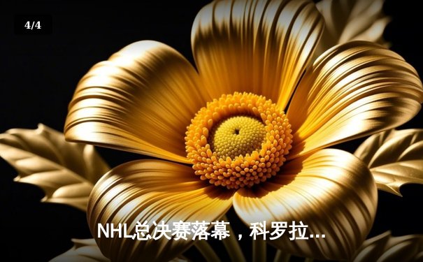 NHL总决赛落幕，科罗拉多雪崩4-2击败坦帕湾闪电夺得斯坦利杯 - 4