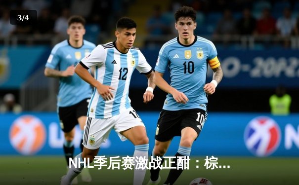 NHL季后赛激战正酣：棕熊队加时绝杀闪电队，系列赛悬念再起 - 3