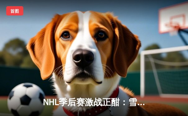 NHL季后赛激战正酣：雪崩队加时绝杀狂野，麦金农独砍三分率队逆转