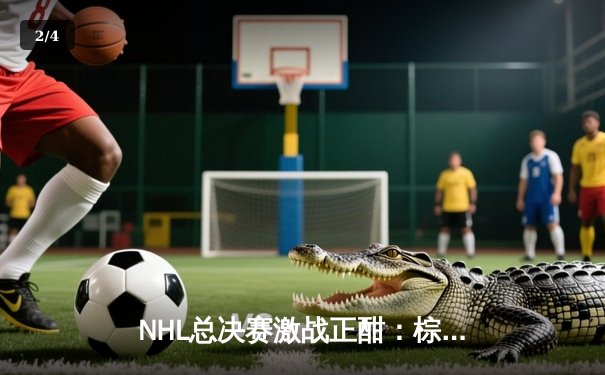 NHL总决赛激战正酣：棕熊队加时绝杀雪崩，总比分扳成2-2平 - 2