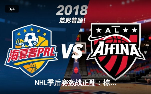 NHL季后赛激战正酣：棕熊队加时绝杀闪电队，大比分3-2领先 - 3