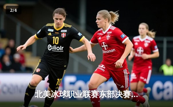 北美冰球职业联赛东部决赛落幕 纽约游骑兵4-3险胜佛罗里达美洲豹晋级总决赛 - 2